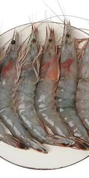 Fresh raw shrimp arranged on a plate at Hibachi Catering 4 U, a Chinese restaurant in Anselmo